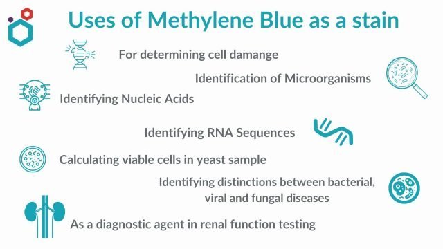 How Do You Do The New Methylene Blue Procedure?