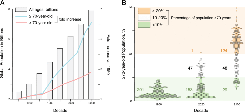 MB As A Tool For Healthy Lifespan Extension