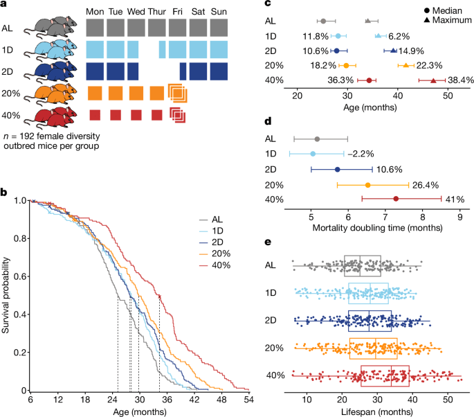 MB As A Tool For Healthy Lifespan Extension