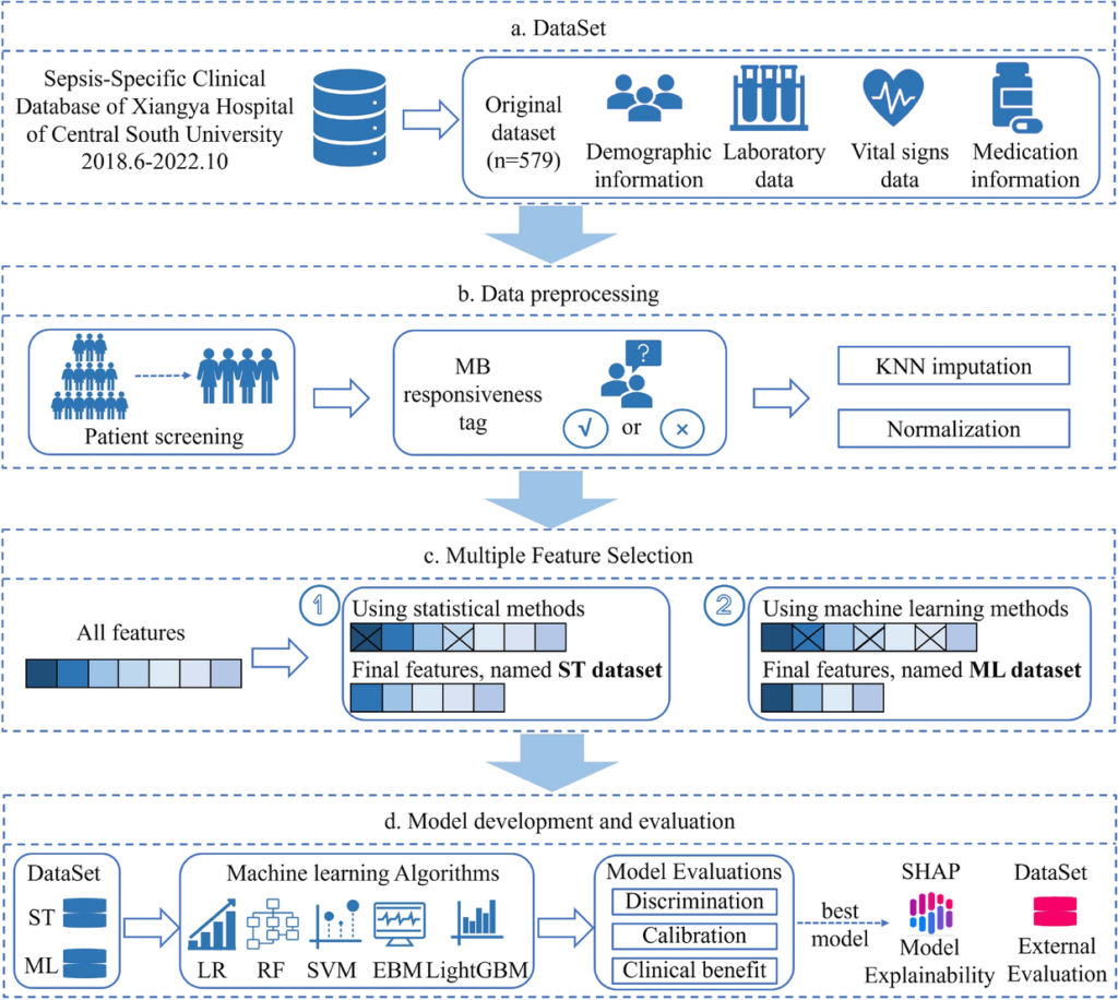 Top Questions About Methylene Blue In Online Communities