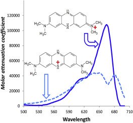 How To Choose The Right Concentration Of Methylene Blue