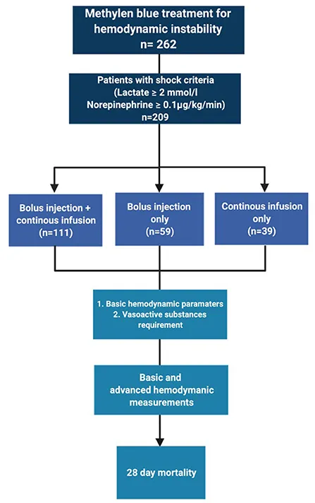How To Choose The Right Concentration Of Methylene Blue