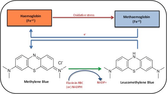 Methylene Blue And Its Role In Antimicrobial Treatments